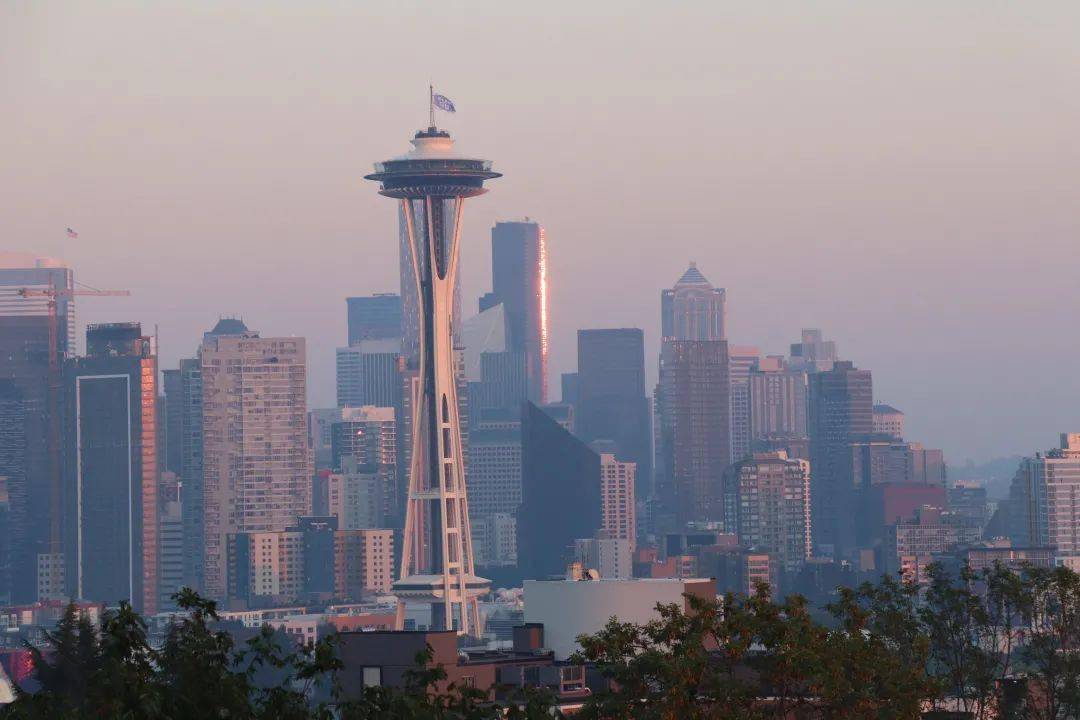 西雅图自治最新动态,巷弄深处小店的探索之旅