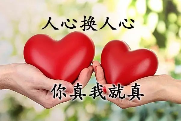 时代之声的颂歌,最新表扬语汇总