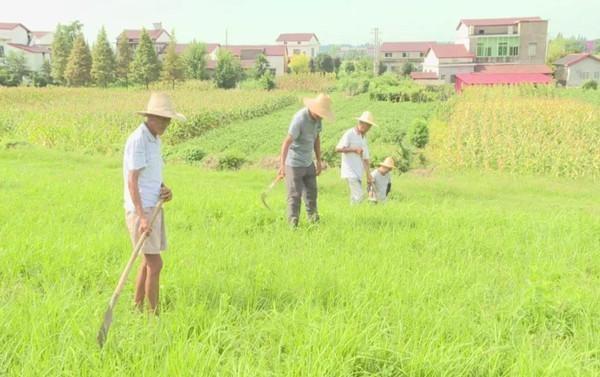 南县防汛最新进展,逆流而上,展现防汛新力量的自信与担当