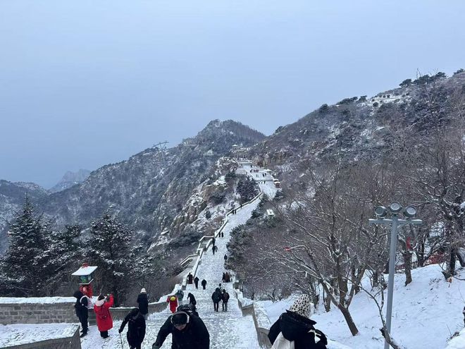泰山最新科技动态，领略高科技产品的巅峰魅力