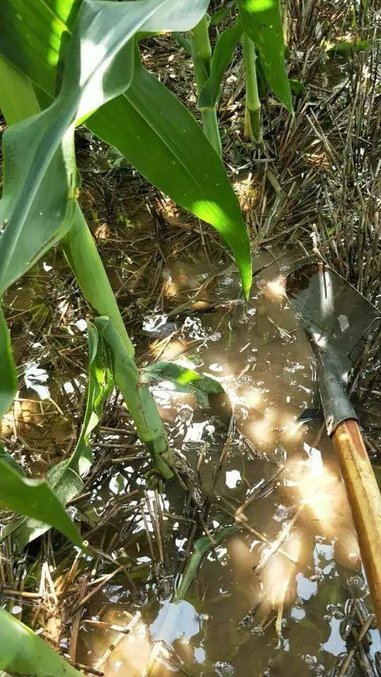 强降水最新动态及暴雨应对指南