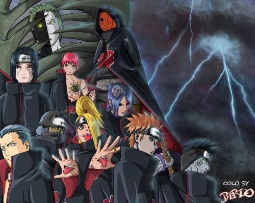 晓组织最新动态深度解析与个人观点分享