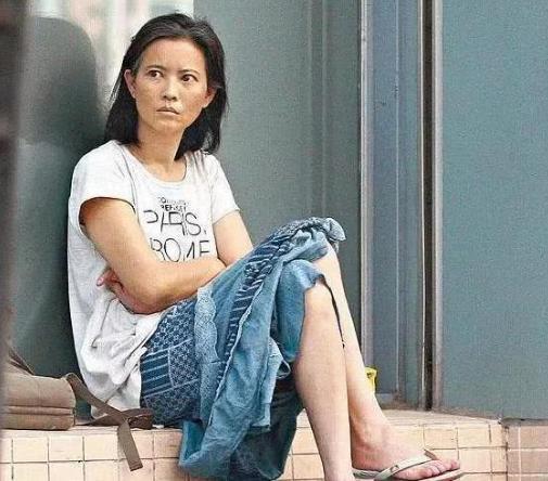 蓝洁瑛最新视频,科技与生活交织的别样风采