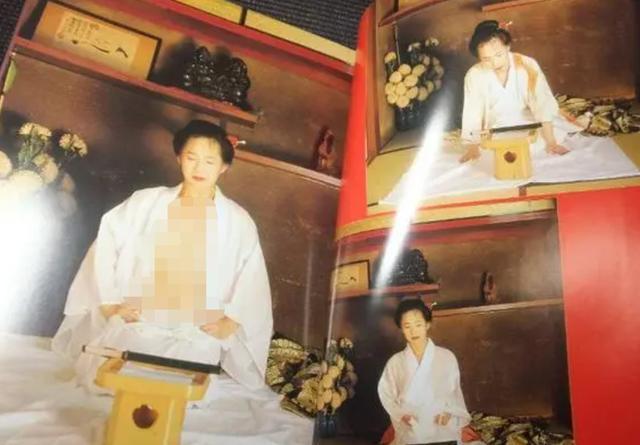 揭秘最新切腹女,事件背景、进展与影响