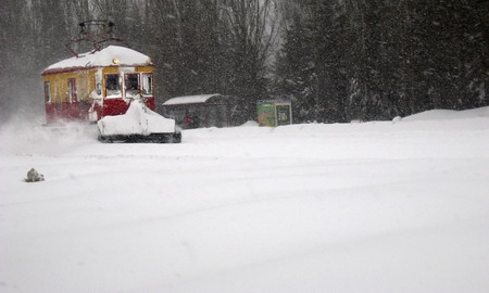 最新雪灾国家，挑战中的自信力量与变化中的应对之道