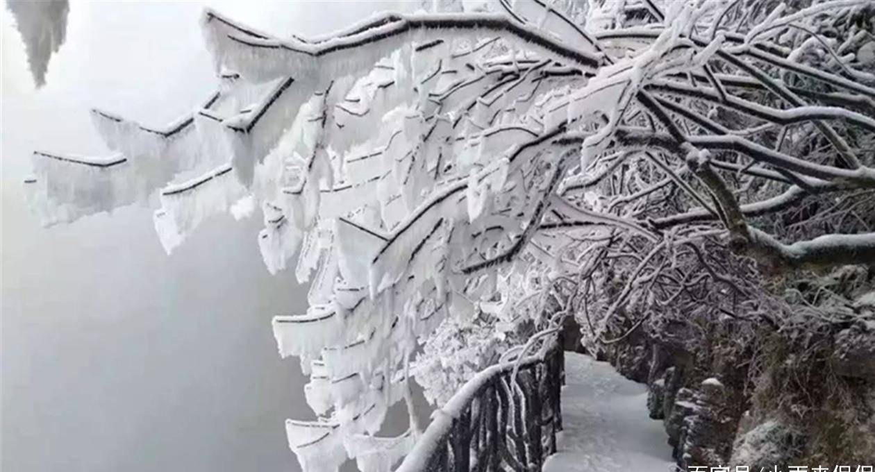 最新雪灾国家,挑战中的自信力量与变化中的应对之道