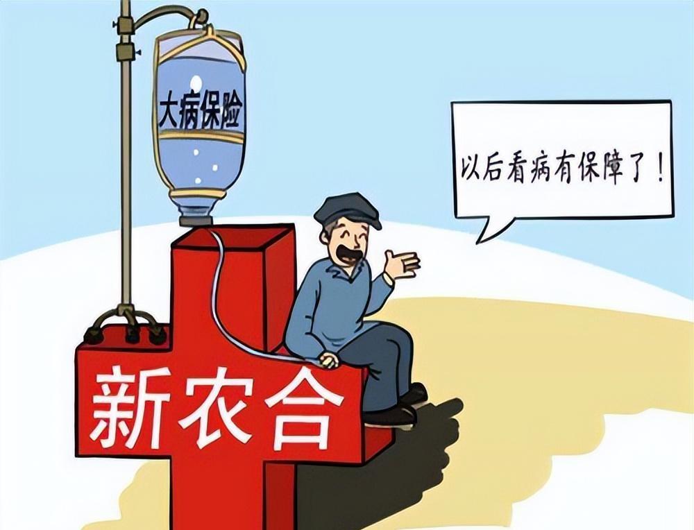 最新火葬方式详解,步骤指南与操作指引