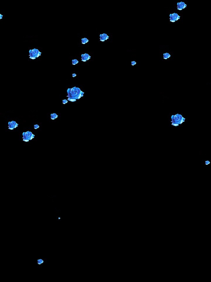 最新时尚素材揭秘,探索时尚潮流最前沿的独家风采