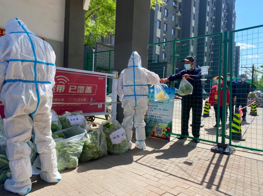 最新黄瓜社区,巷弄深处的独特风味探索