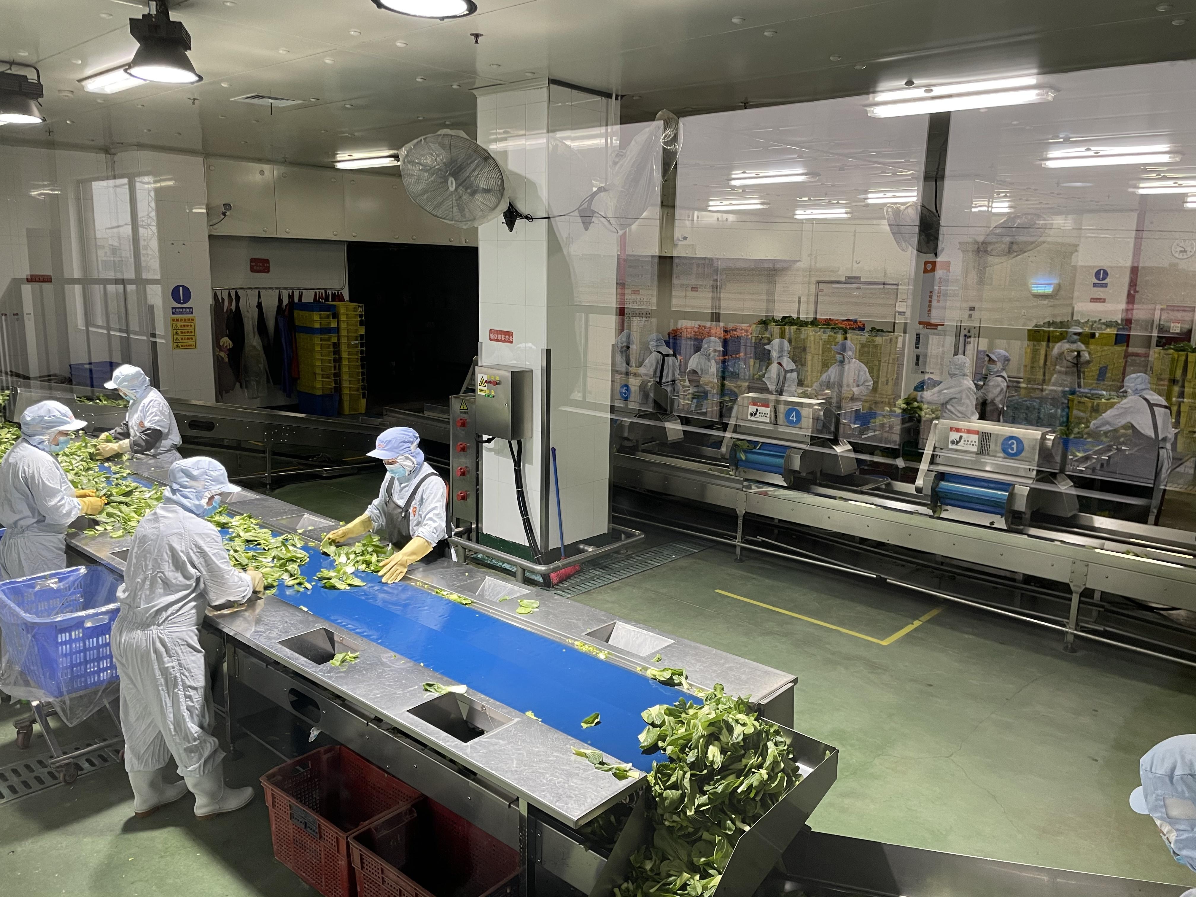 最新黄瓜社区,巷弄深处的独特风味探索