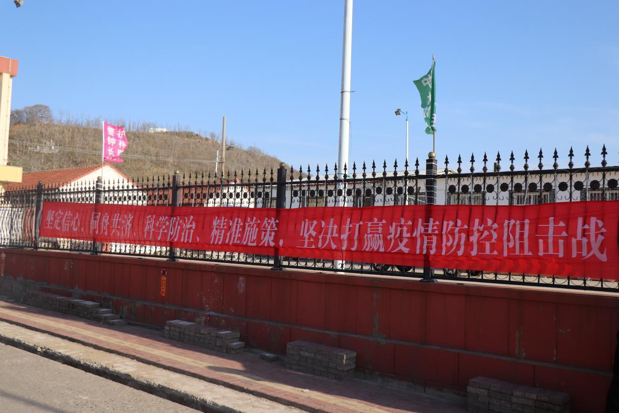 最新肺炎宣传,共同迎接挑战,变化带来自信与成就的成果展望