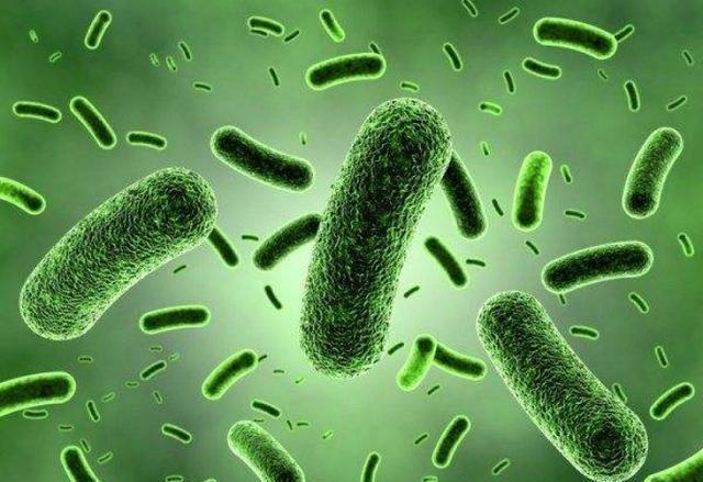 深度探讨,覆活的最新背景、重要事件与地位影响