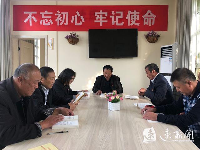 最新支部条例深度解析与观点阐述