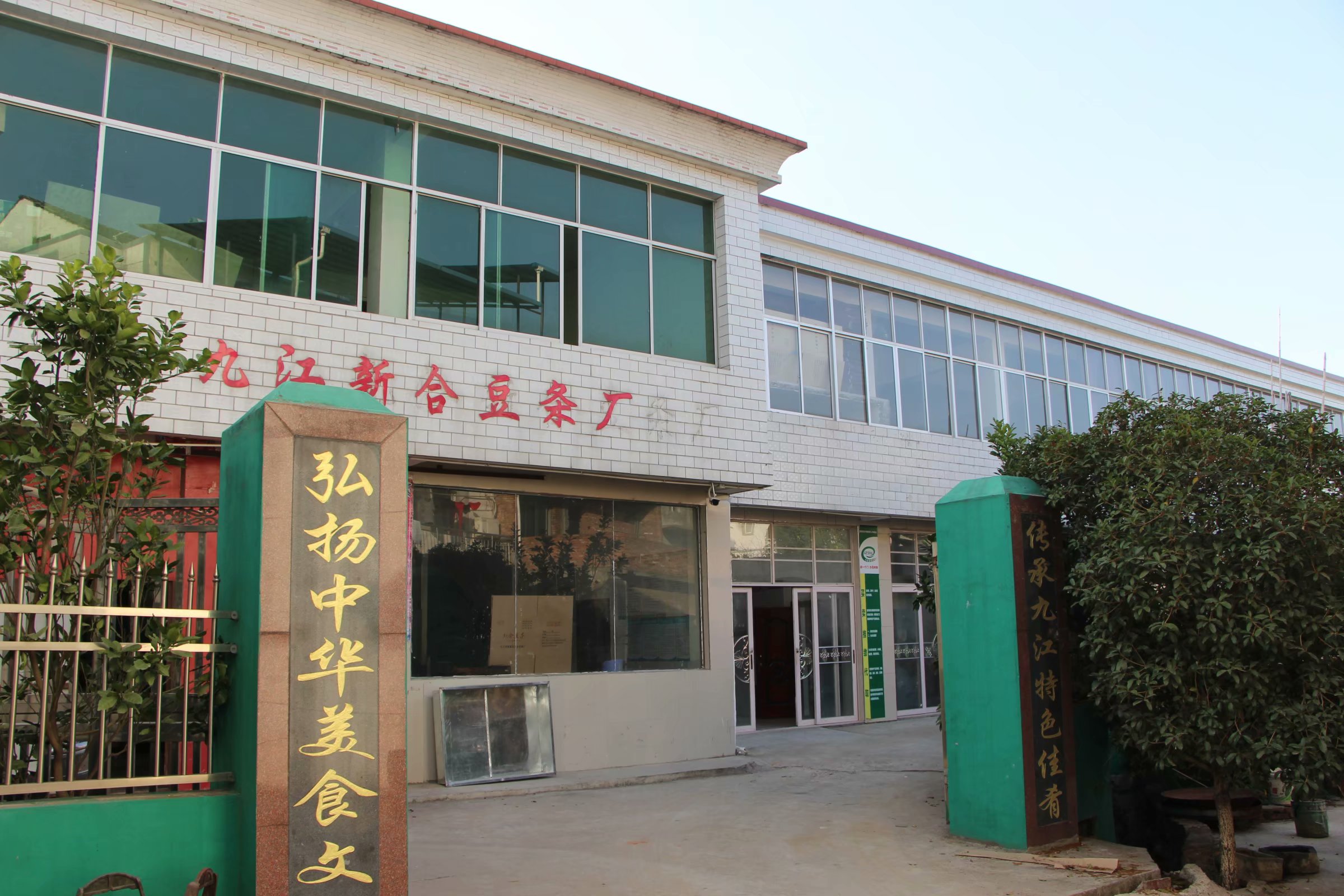 最新支部条例深度解析与观点阐述