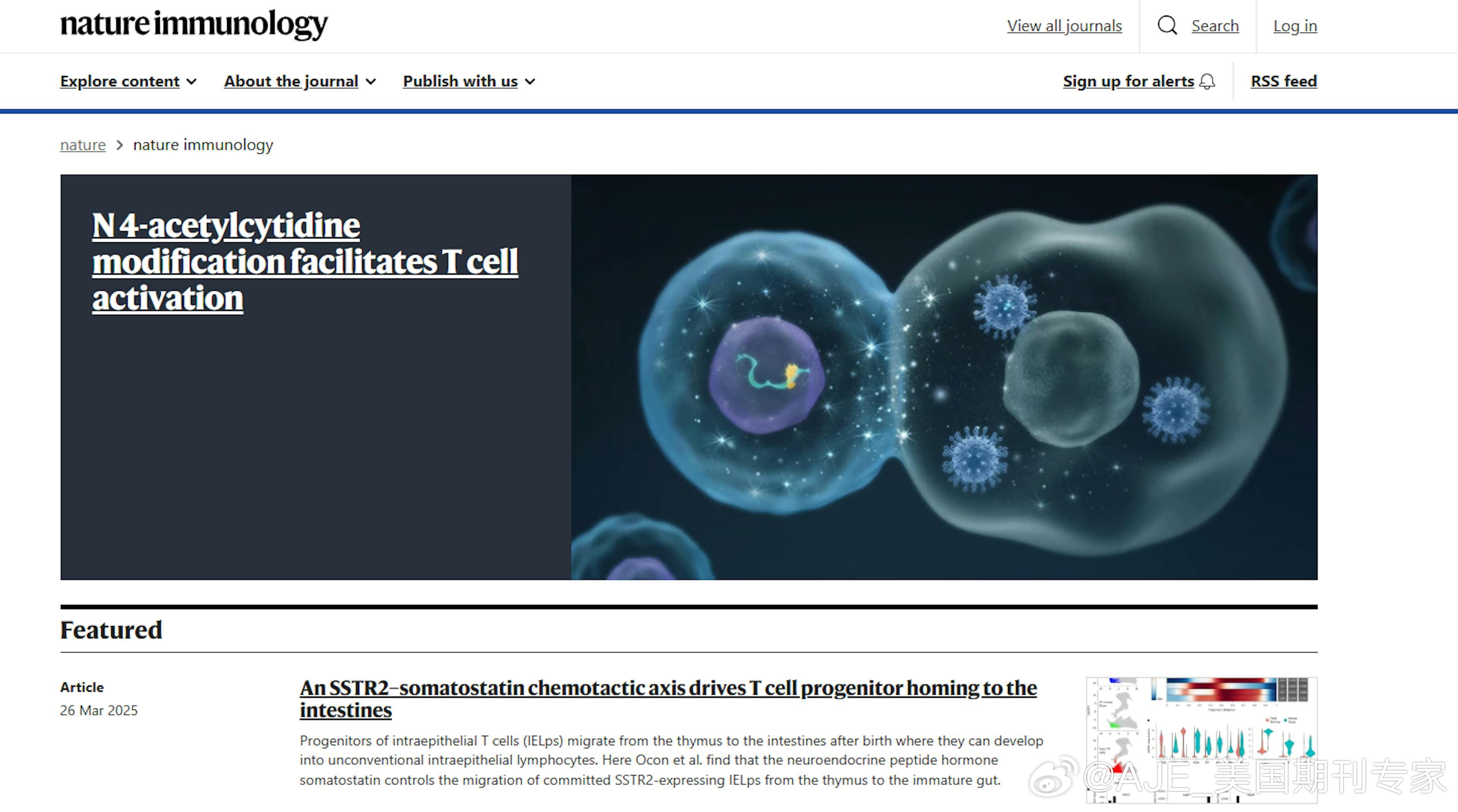 揭秘小巷深处的SCI下载天堂,特色小店的独特魅力