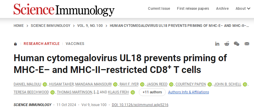 揭秘小巷深处的SCI下载天堂,特色小店的独特魅力