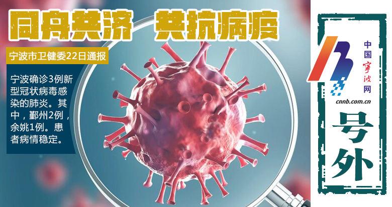 宁波肺炎最新动态,日常冒险中的特别时光