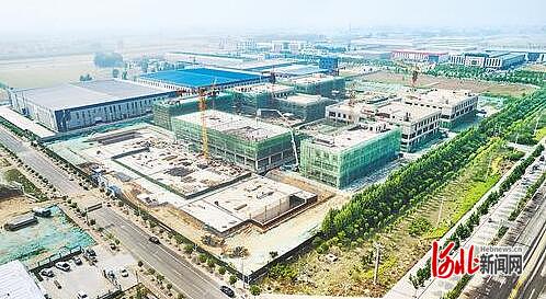 河北辛集最新动态,日常趣事与友情的交织纽带