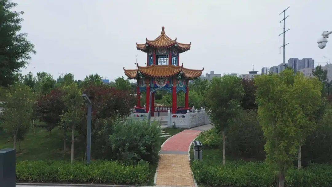 河北辛集最新动态,日常趣事与友情的交织纽带