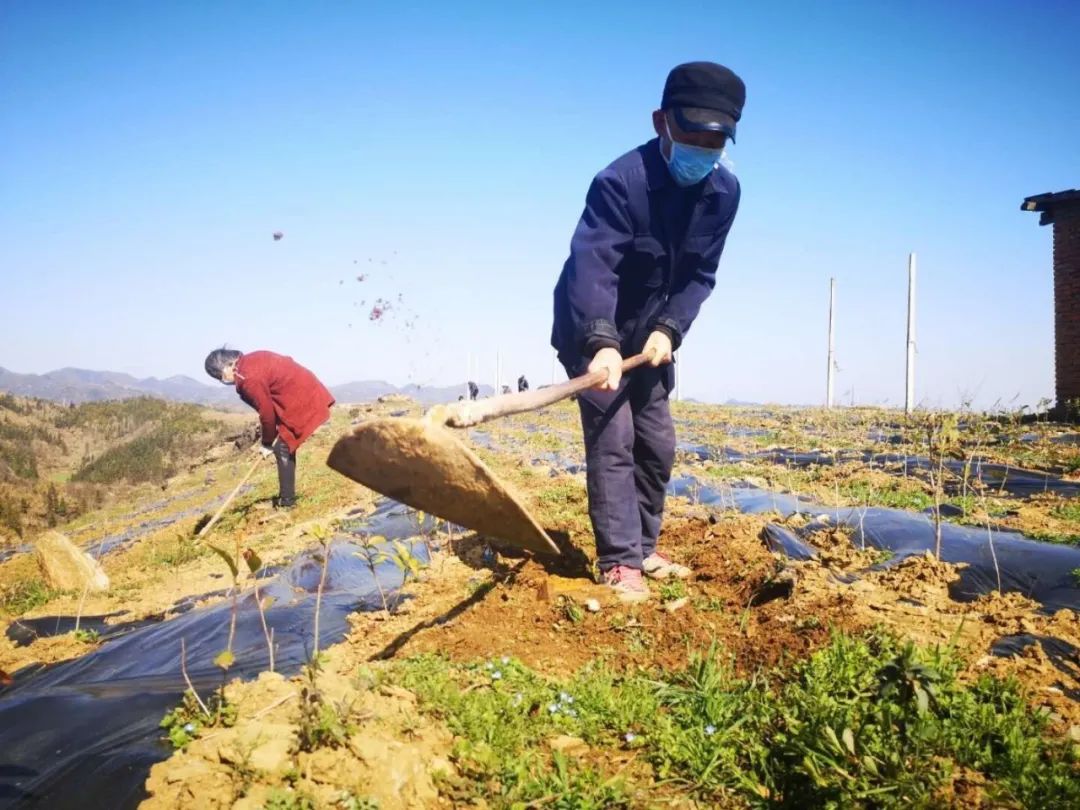 竹溪疫情最新动态与论述