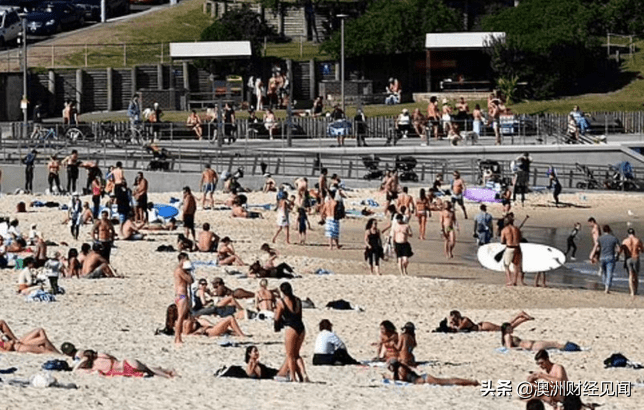 悉尼最新疫情更新报告