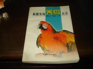 最新养鸟法规引领养鸟新篇章,自信与成就感的体验之旅