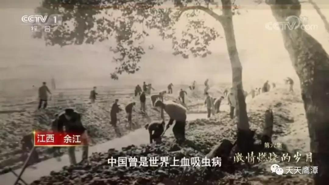 宜春最新疾病动态概览,最新病情发展与关注焦点