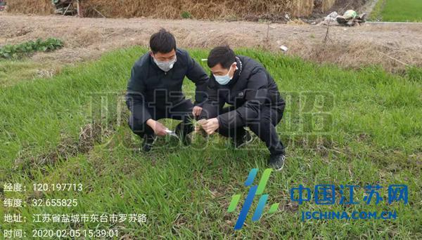 东台肺炎最新动态，小城温馨抗疫日常