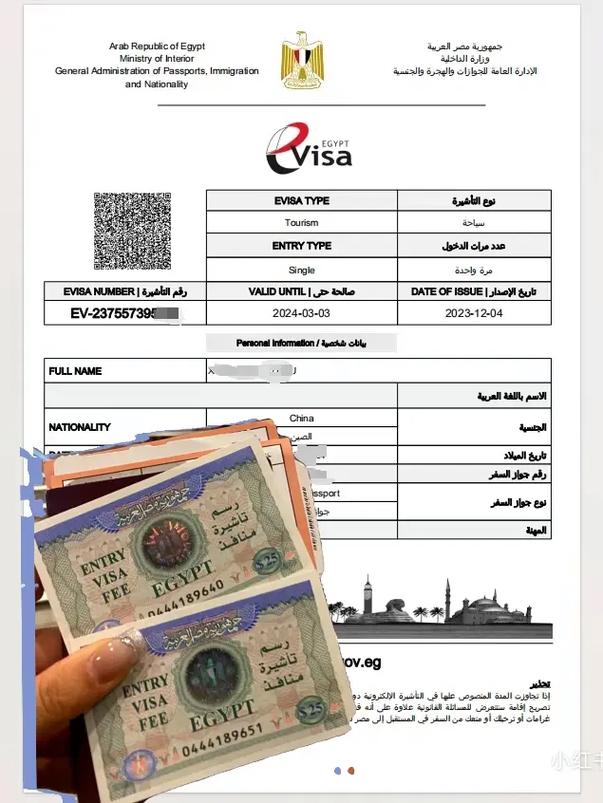 埃及最新入境政策,科技引领生活变革,未来触手可及