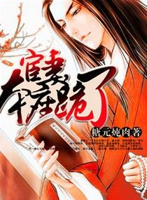 当代社会多元视角下的宦妻最新探讨