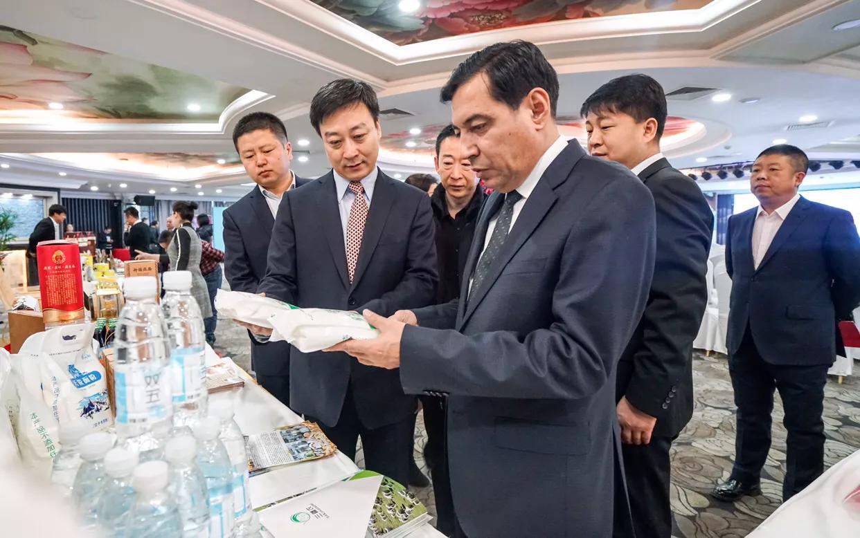 最新九师，引领新时代的先锋力量崛起