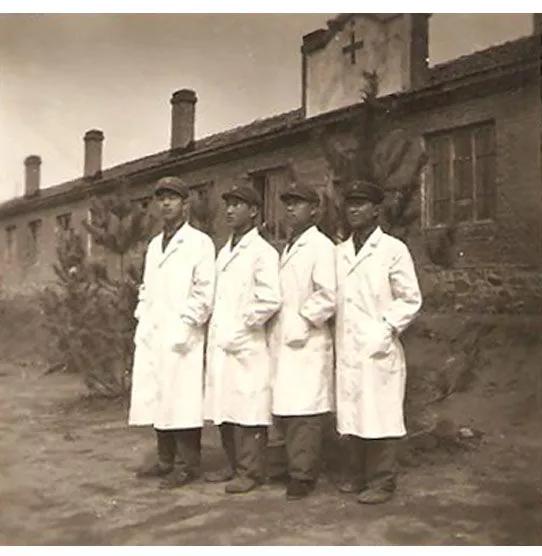 最新九师,引领新时代的先锋力量崛起