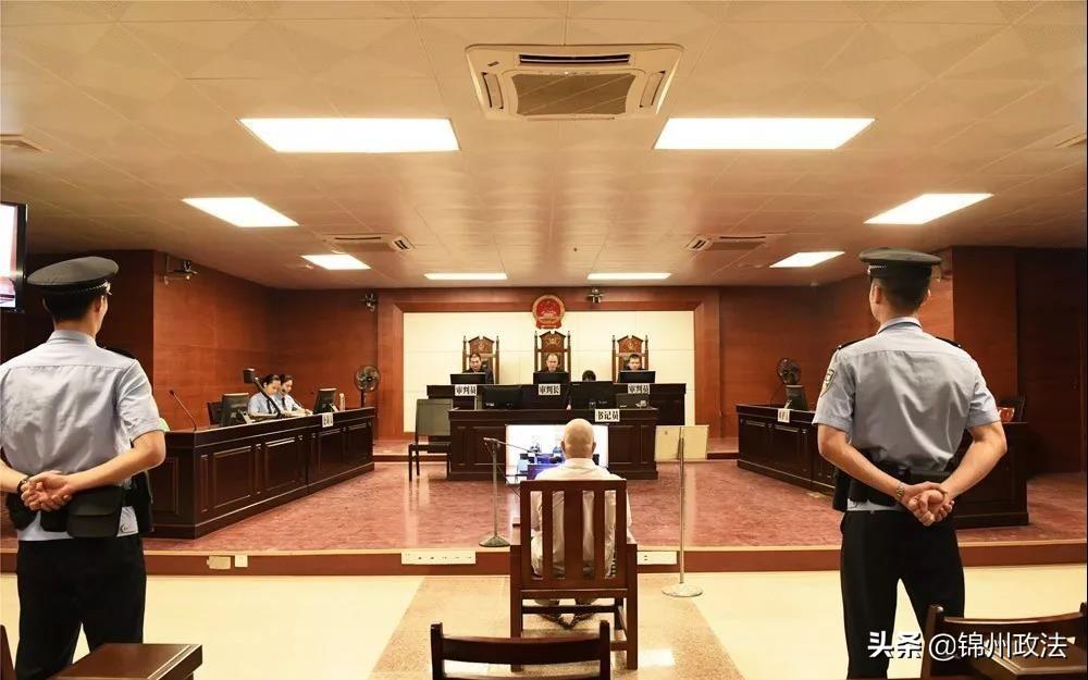 广西撞人事件最新进展，深度解析与案例分析