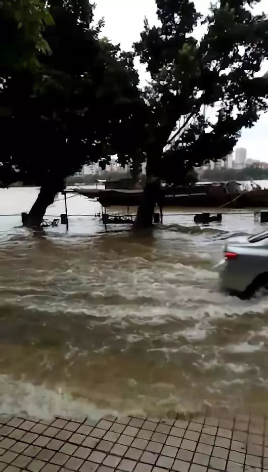 水淹视频最新,意外冒险与温馨回忆的交织时刻