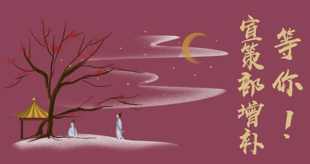 宣策最新,全面审视与观点阐述