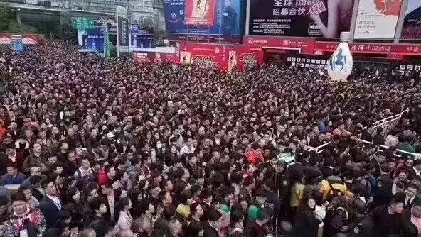 最新兰展会，兰花盛宴的绽放与探索之旅