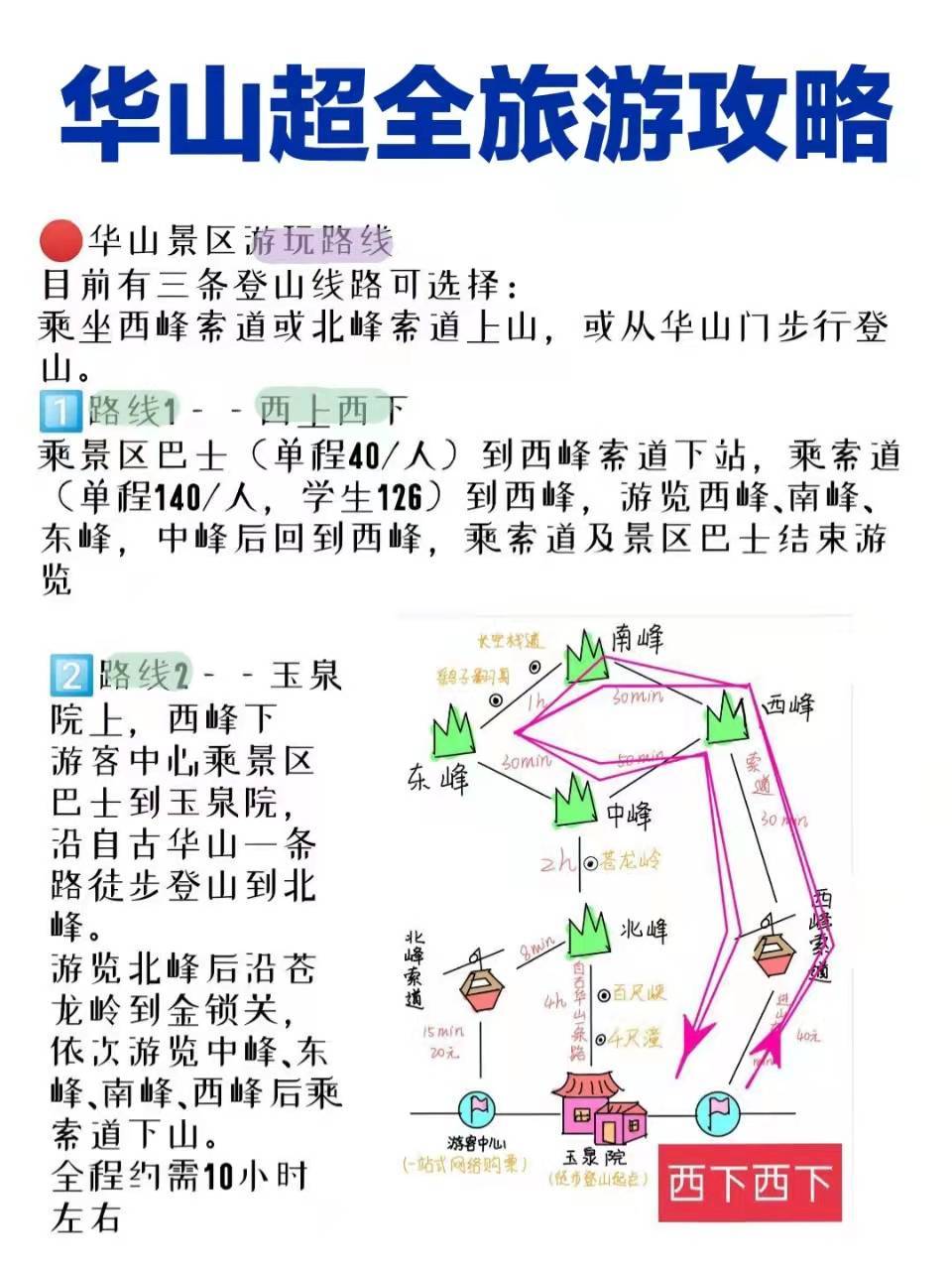 华山旅游最新探秘，小巷中的独特风味之旅