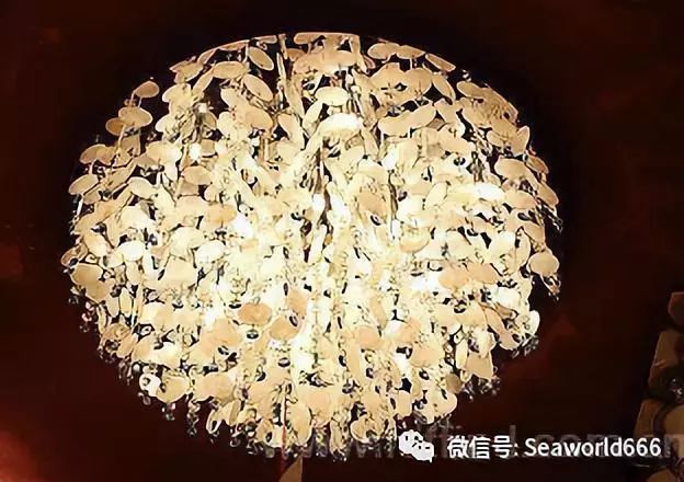 最新灯贝,高科技照明的未来引领者