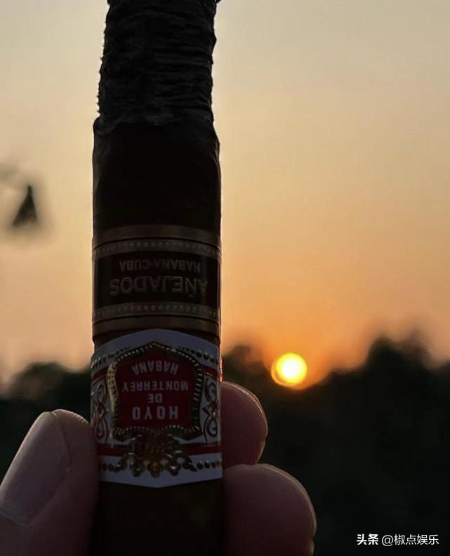 意料之外的温馨日常,坑爹最新之旅