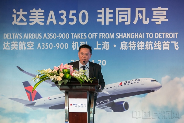 达美最新深度解析,聚焦三大要点探讨