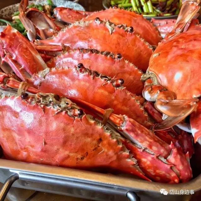 海鲜群最新,友情、家庭与海洋美味的日常篇章