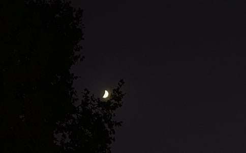 晚安最新,温馨告别与崭新启航的时代篇章