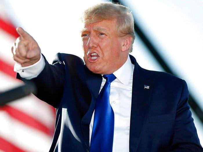 美国大选最新资料获取指南,最新动态与步骤解析