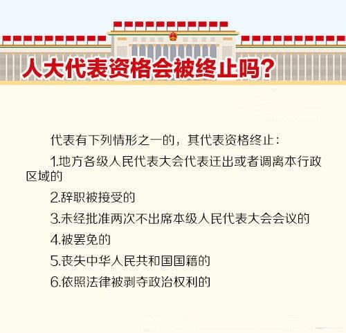 山东最新时事政治论述概览