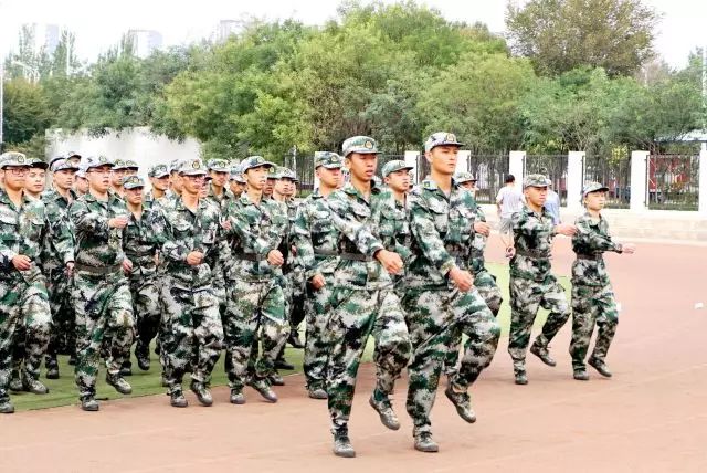 今年最新军训视频全解析,内容与要点一网打尽