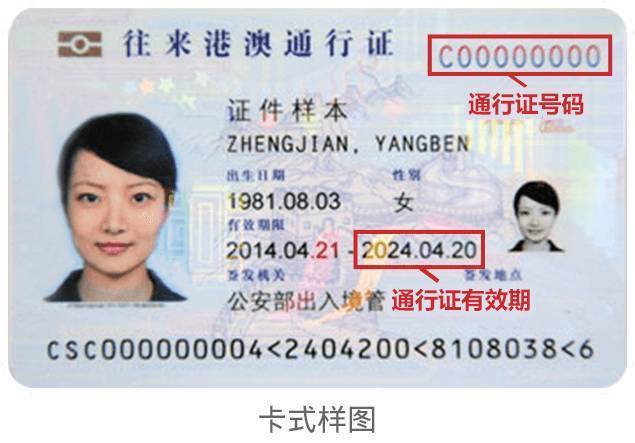 澳门出入境最新动态解析