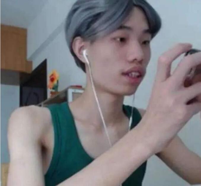 和平精英最新密码揭秘,与自然美景的梦幻之旅