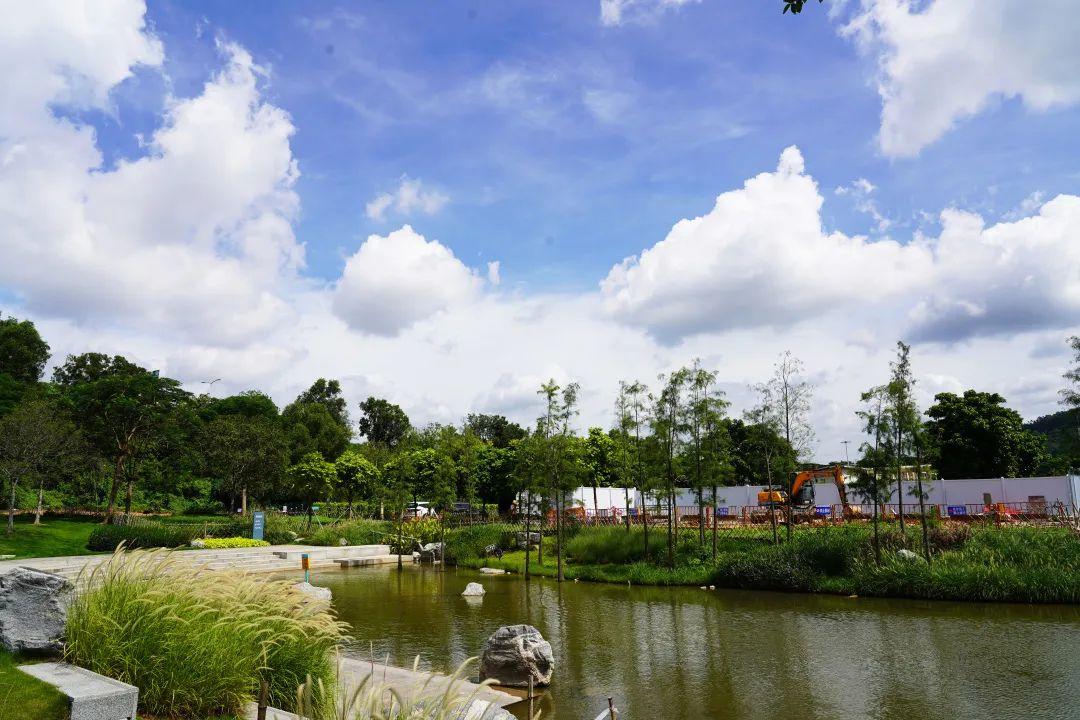 楼村湿地公园最新动态,自然与科技的和谐共融