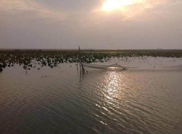 楼村湿地公园最新动态,自然与科技的和谐共融