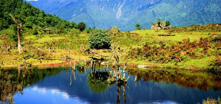 最新风景高清,自然美景的探索之旅